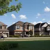 Project Featured Image